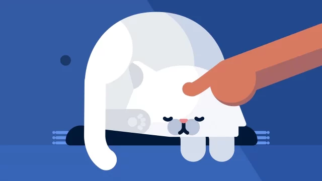 MG宣传片为何比普通宣传视频更受欢迎？